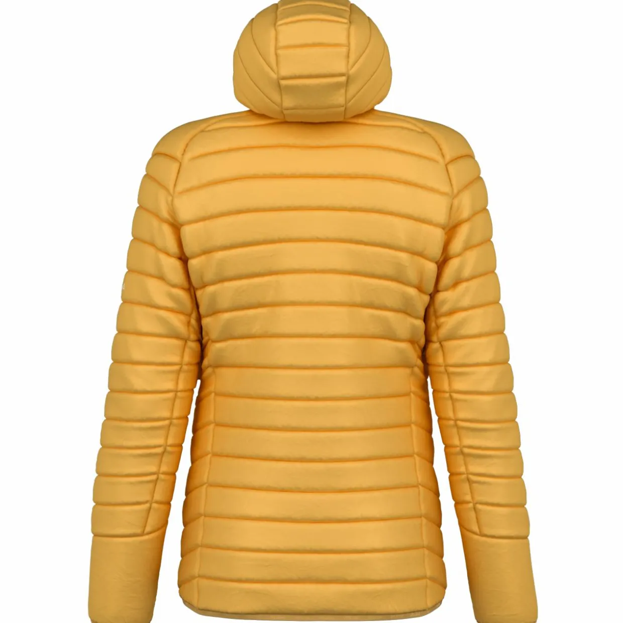 Brenta RDS Piumino Uomo