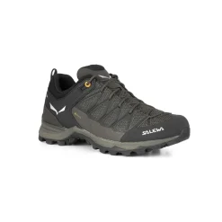 Mountain Trainer Lite GORE-TEX® Scarpe Uomo