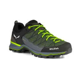 Mountain Trainer Lite GORE-TEX® Scarpe Uomo